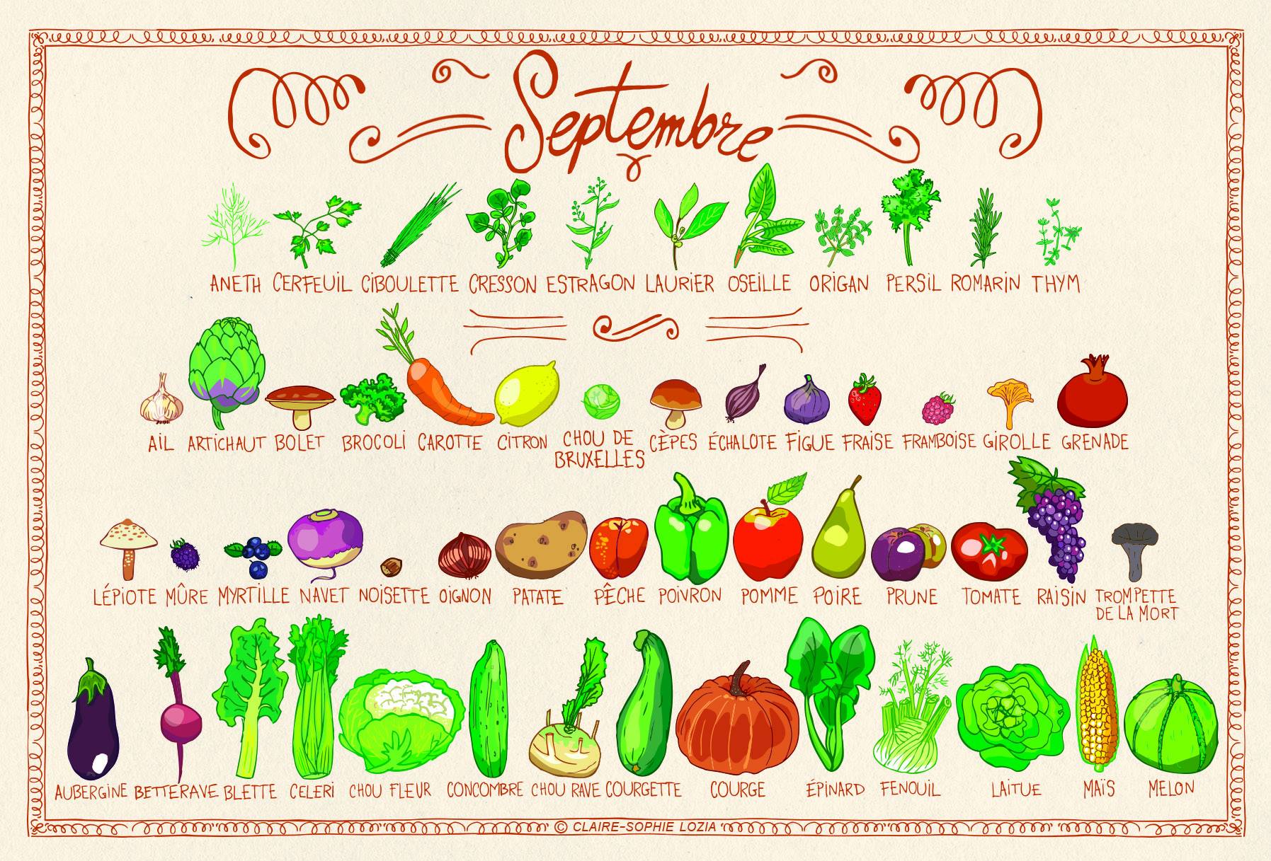 Fruits et légumes de septembre Blog Actubio.fr Jardinage