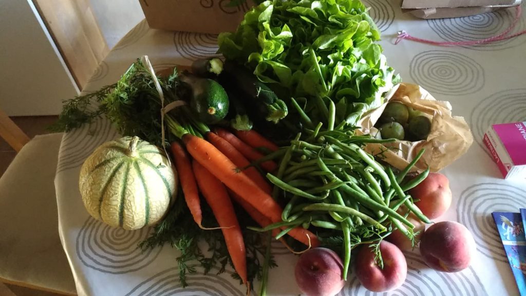 panier potager city