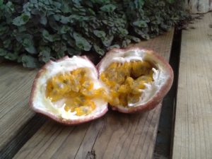 fruit de la passion