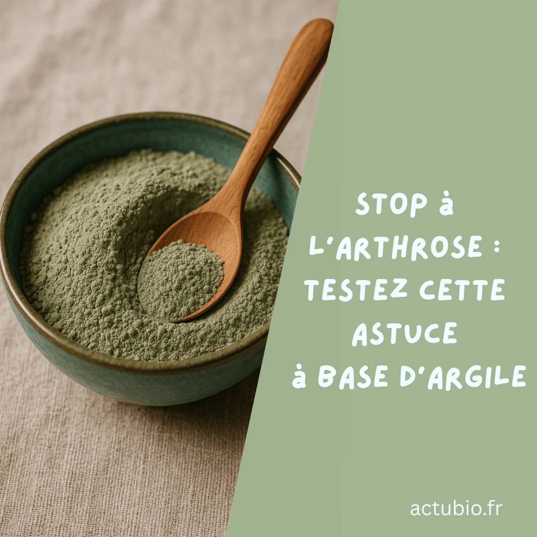 Argile et arthrose le remède naturel qui enlève la douleur au dos — free download